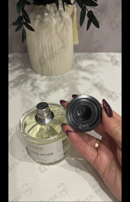 Отзыв Byredo Parfums Young Rose