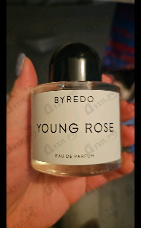Купить Byredo Parfums Young Rose