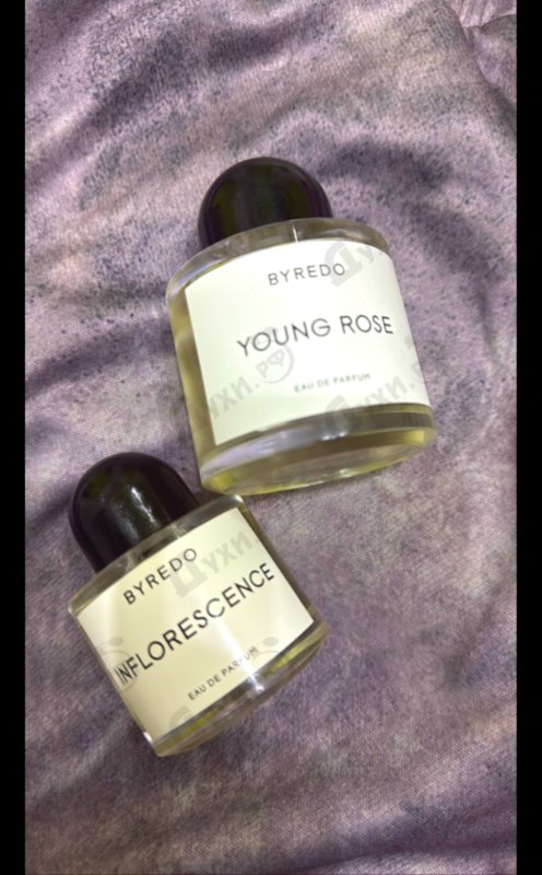 Парфюмерия Young Rose от Byredo Parfums