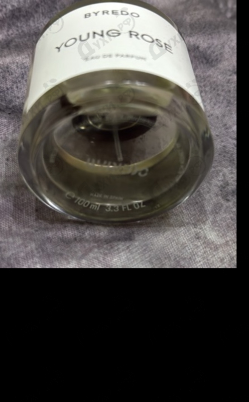 Парфюмерия Young Rose от Byredo Parfums