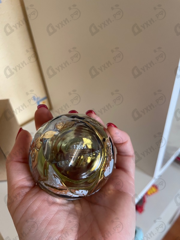 Купить Le Parfum 2021 от Lolita Lempicka