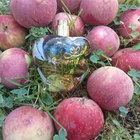 Отзывы Lolita Lempicka Le Parfum 2021