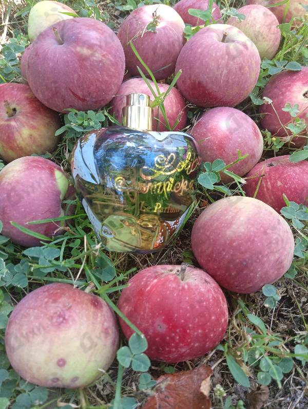 Купить Le Parfum 2021 от Lolita Lempicka