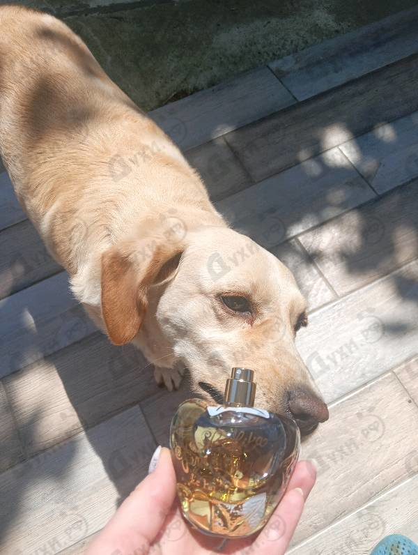Парфюмерия Lolita Lempicka Le Parfum 2021