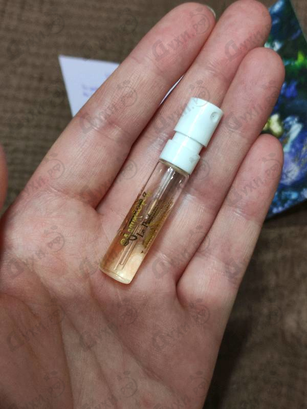 Купить Le Parfum 2021 от Lolita Lempicka