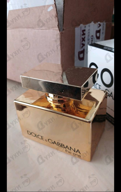 Купить The One Gold от Dolce & Gabbana