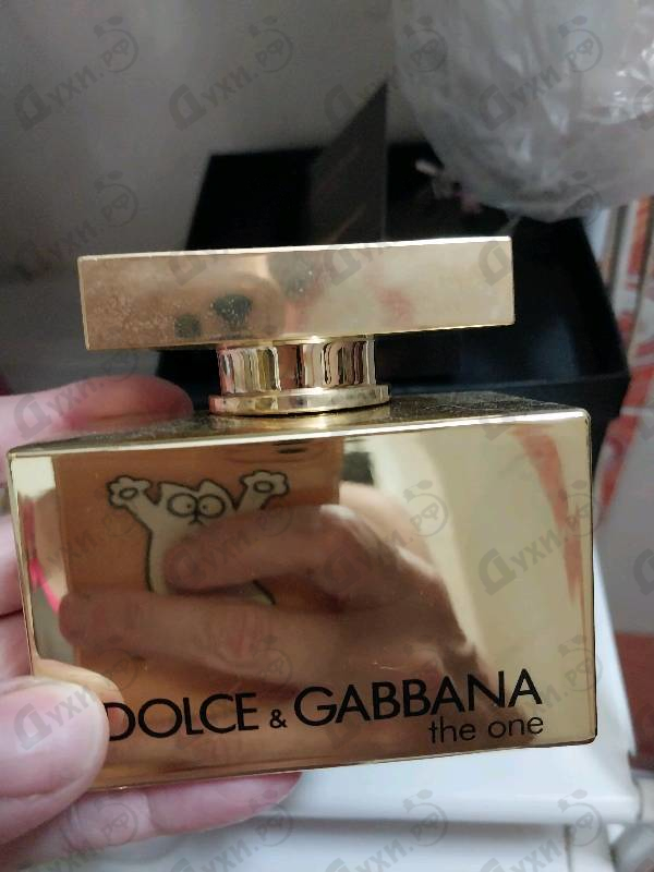 Отзывы Dolce & Gabbana The One Gold