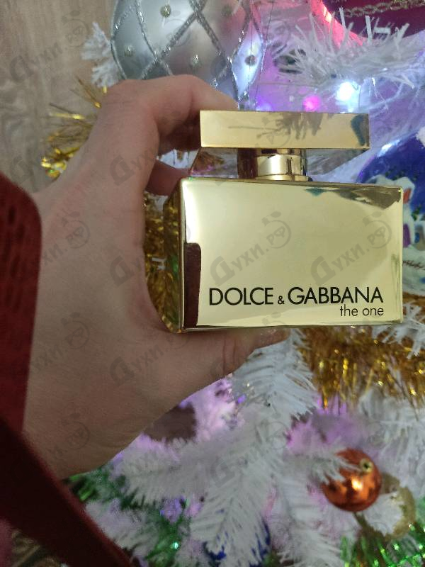 Купить The One Gold от Dolce & Gabbana