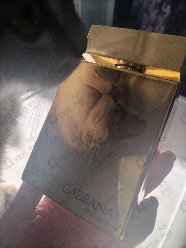 Отзыв Dolce & Gabbana The One Gold