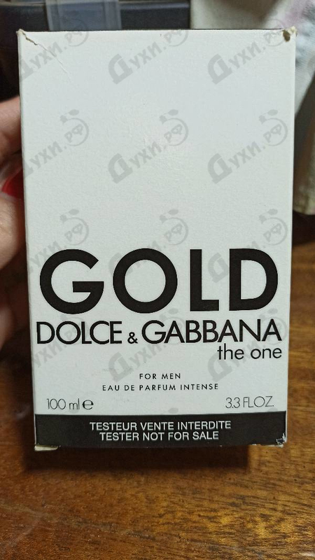 Купить The One Gold от Dolce & Gabbana