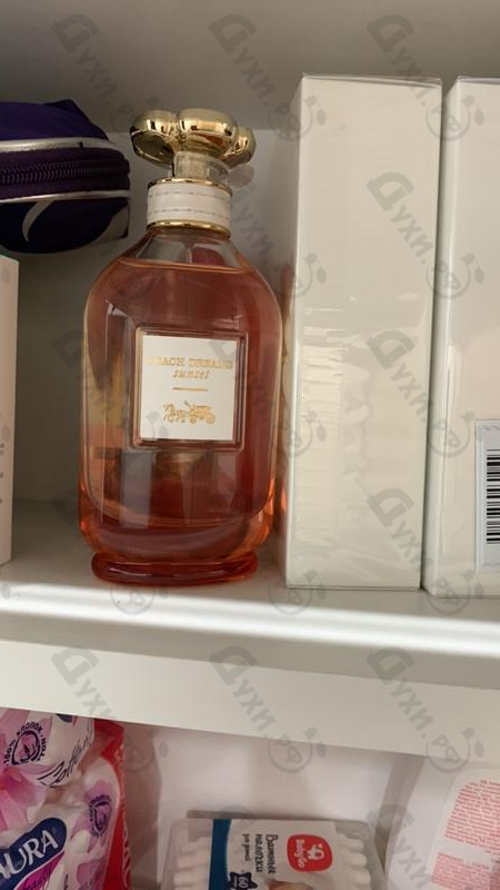 Купить Coach Dreams Sunset от Coach