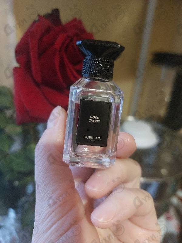 Купить Rose Cherie от Guerlain