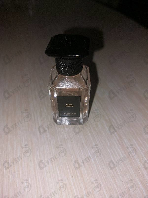 Отзывы Guerlain Rose Cherie