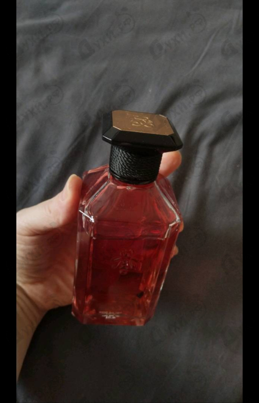 Парфюмерия Santal Pao Rosa от Guerlain