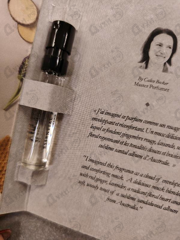 Духи The Musc от Essential Parfums
