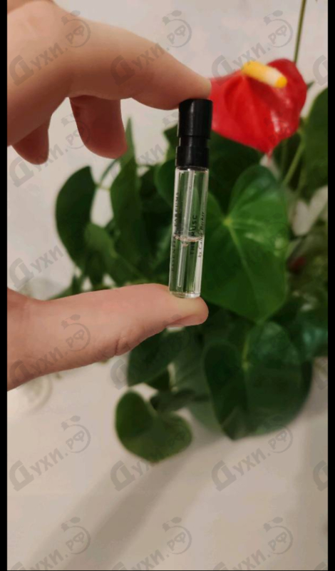 Духи The Musc от Essential Parfums