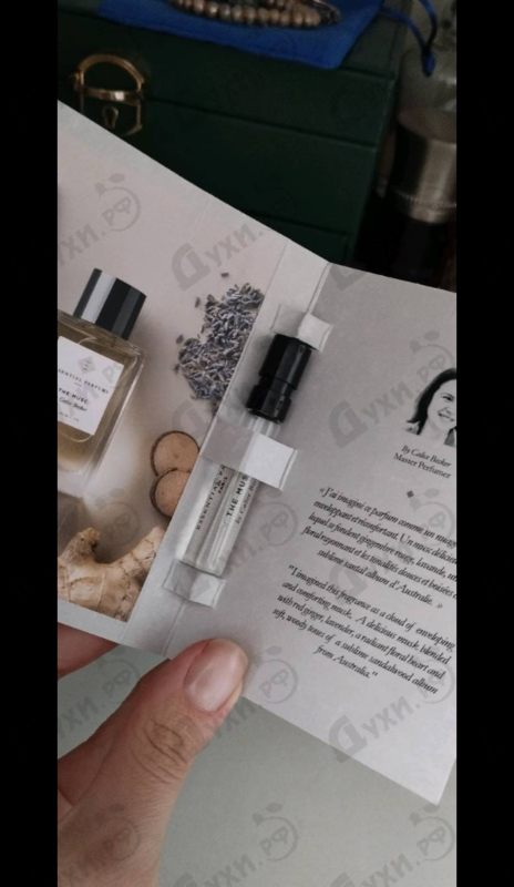 Купить Essential Parfums The Musc