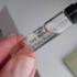 Парфюмерия The Musc от Essential Parfums