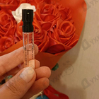 Отзывы Essential Parfums The Musc