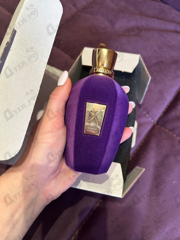 Купить Purple Accento от Xerjoff Отзыв Xerjoff Purple Accento