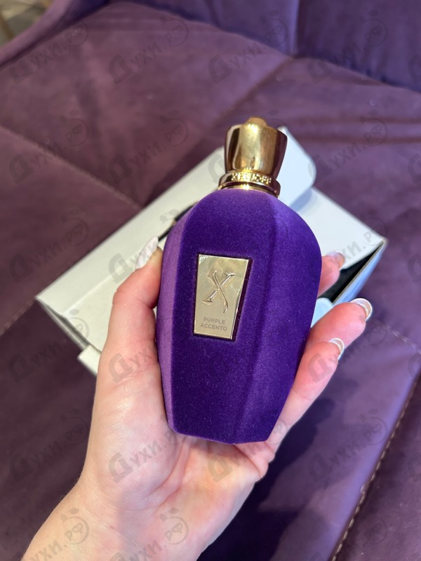 Духи Purple Accento от Xerjoff Купить Xerjoff Purple Accento