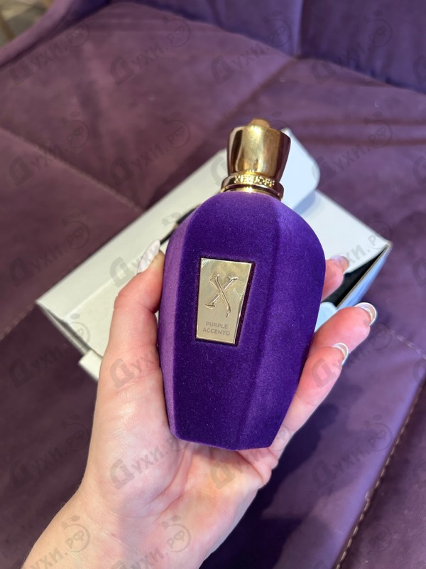 Купить Xerjoff Purple Accento