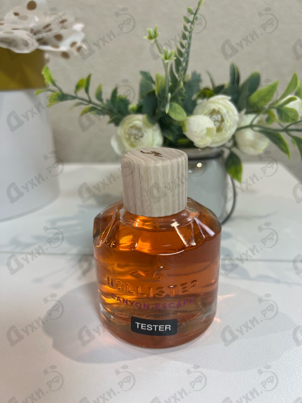 Отзыв Hollister Canyon Escape