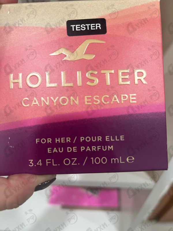 Купить Canyon Escape от Hollister
