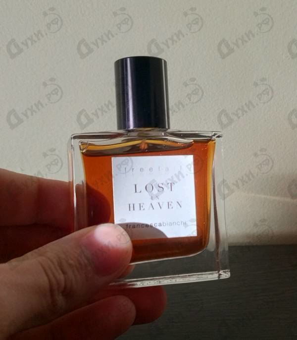 Духи Lost In Heaven от Francesca Bianchi