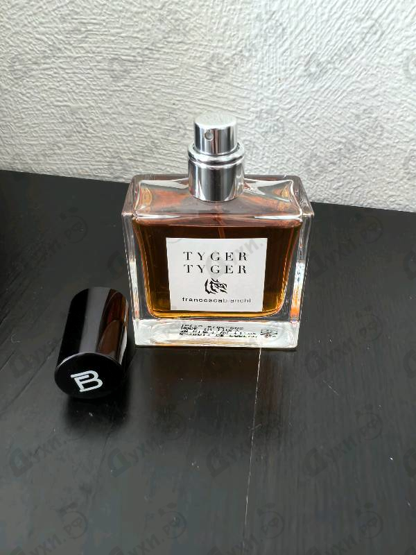 Купить Tyger Tyger от Francesca Bianchi