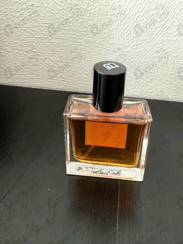 Купить Tyger Tyger от Francesca Bianchi