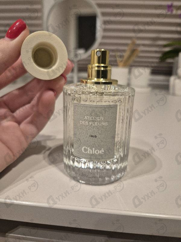Купить Iris от Chloe