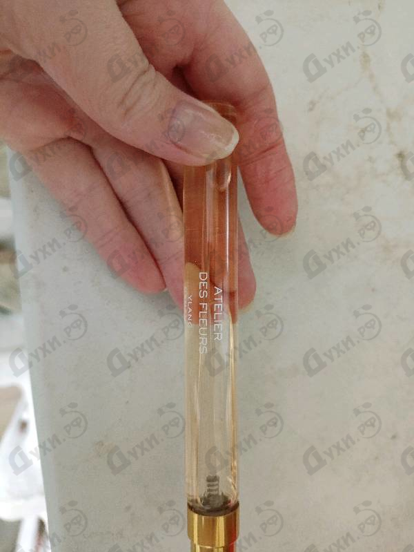 Отзыв Chloe Ylang Cananga