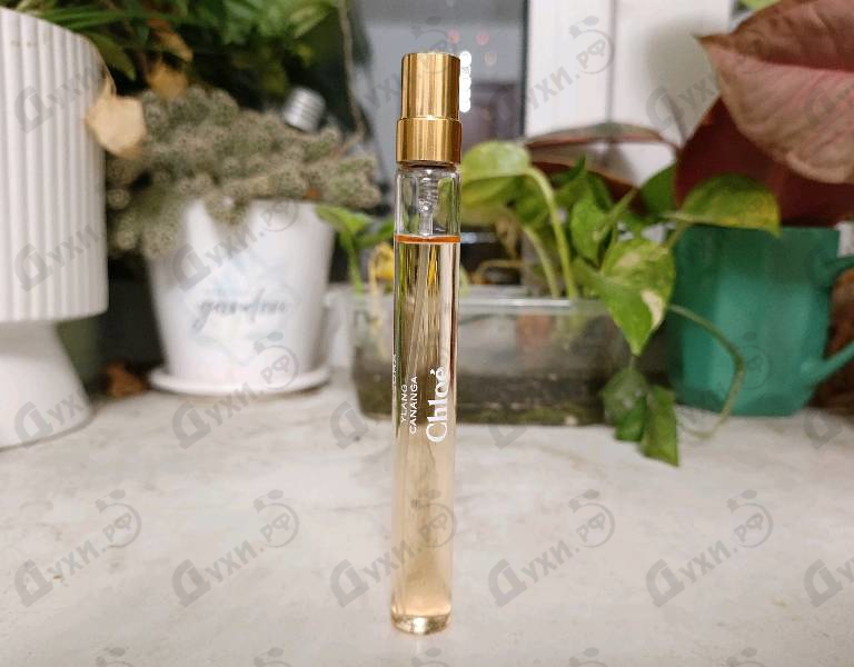 Купить Ylang Cananga от Chloe
