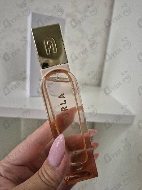 Купить Furla Magnifica