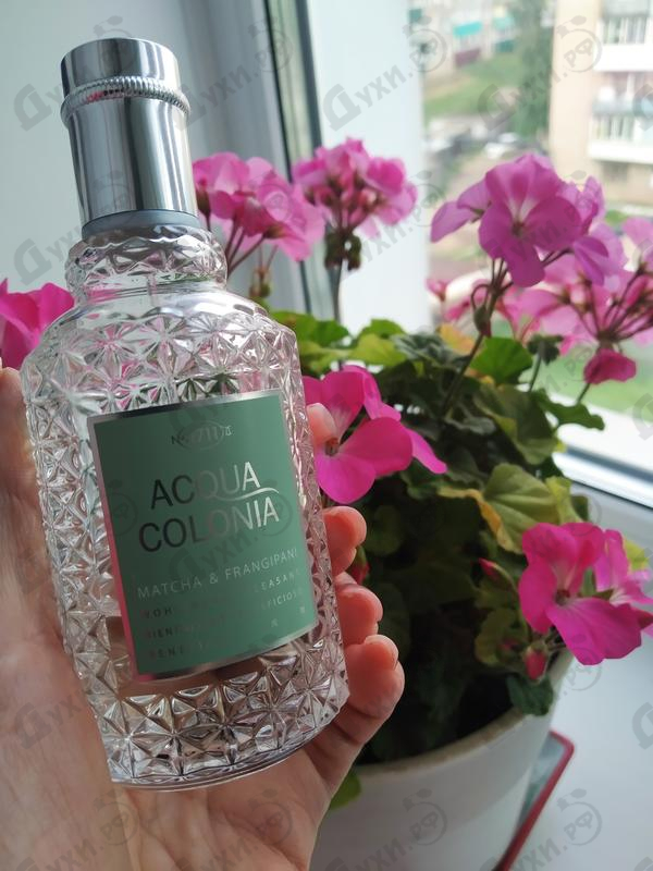 Купить Acqua Colonia Matcha & Frangipani от 4711