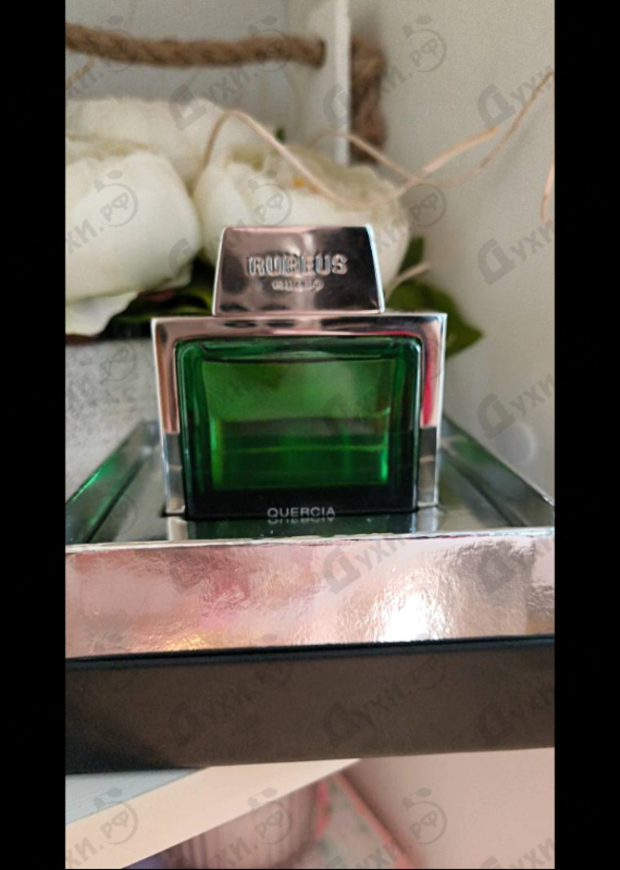 Купить Quercia от Rubeus Milano