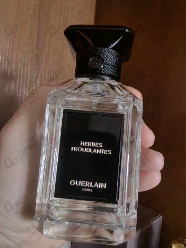 Купить Guerlain Herbes Troublantes