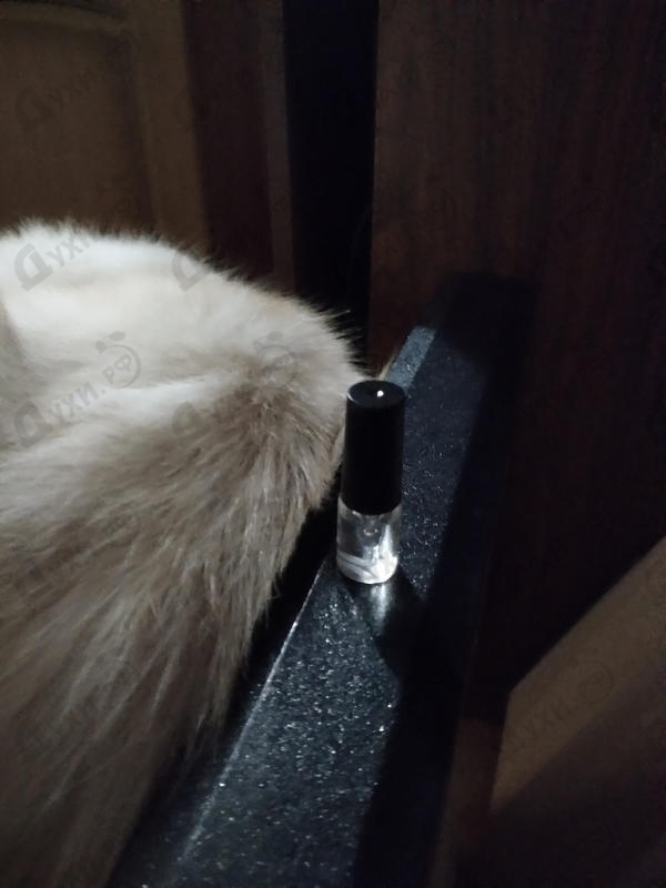 Купить Acqua Colonia Goji & Cactus Extract от 4711 Отзыв 4711 Acqua Colonia Goji & Cactus Extract