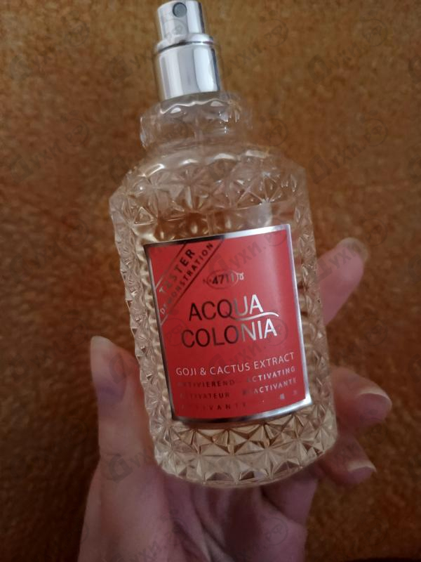 Духи Acqua Colonia Goji & Cactus Extract от 4711