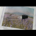 Отзывы ByBozo Amsterdam Weekdays