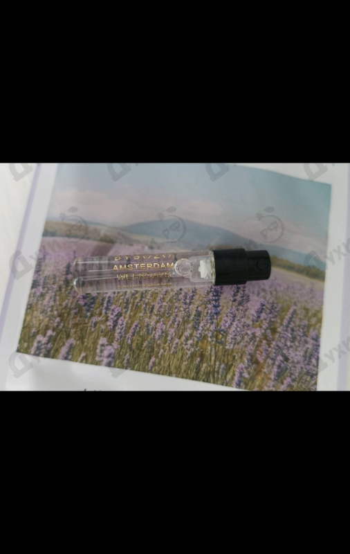 Отзывы ByBozo Amsterdam Weekdays