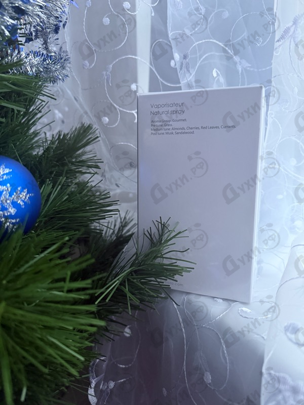 Отзыв ByBozo Habibi