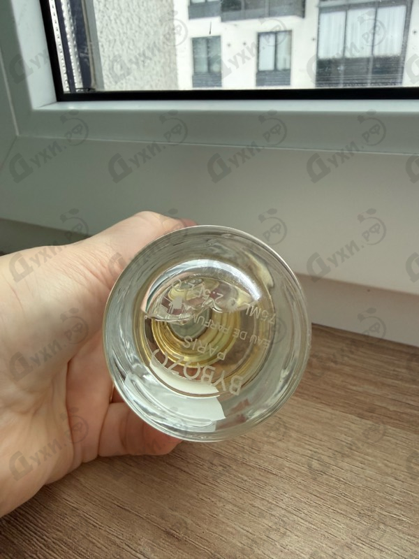 Отзыв ByBozo Habibi