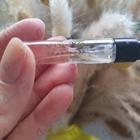 Отзыв ByBozo Sea Breeze