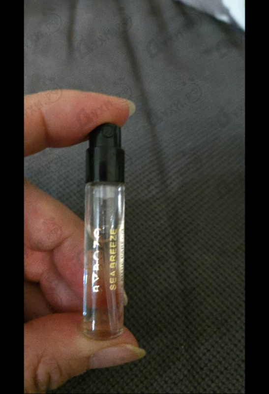 Купить ByBozo Sea Breeze