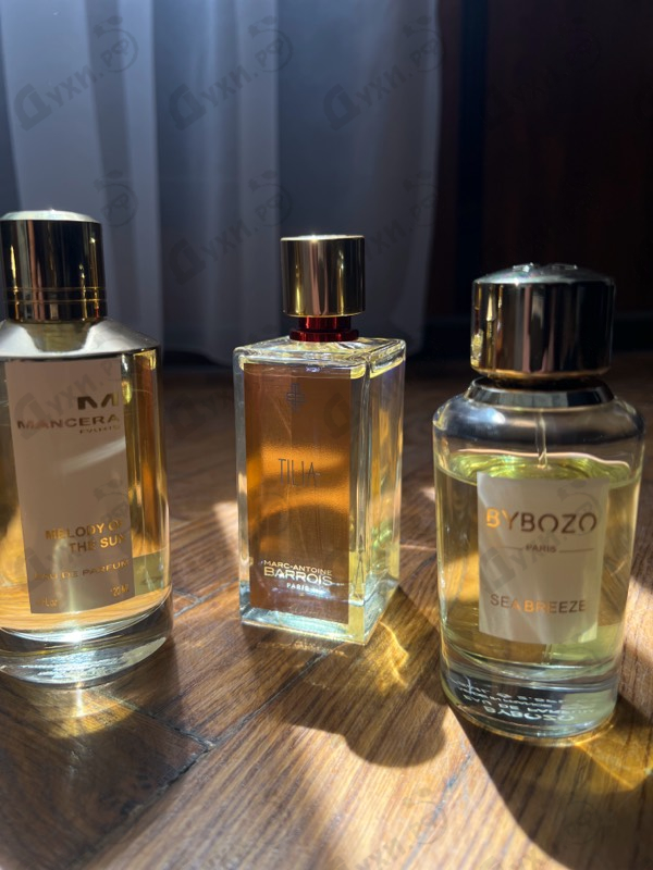 Парфюмерия Sea Breeze от ByBozo
