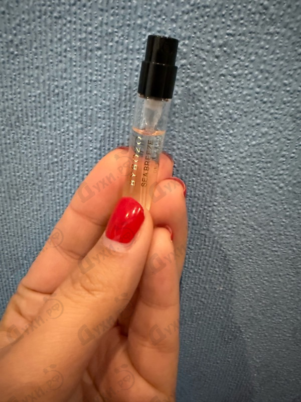 Купить Sea Breeze от ByBozo