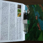 Отзывы Memo Flam