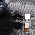 Отзыв Lattafa Perfumes Ana Abiyedh Poudree